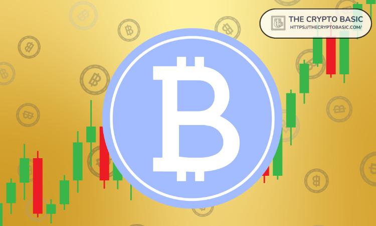 布兰登·格林预测比特币牛市将持续，预计价格将在周期结束时达到 100 万美元